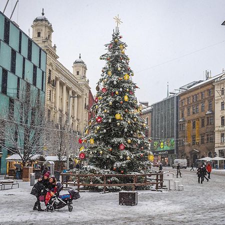 Brno - Apartman V Bohemske Ctvrti Kamenka 외부 사진