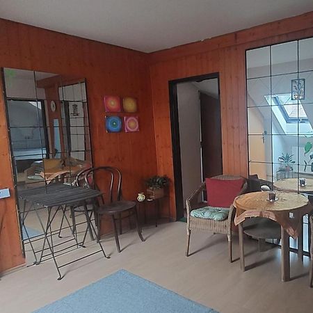 Brno - Apartman V Bohemske Ctvrti Kamenka 외부 사진